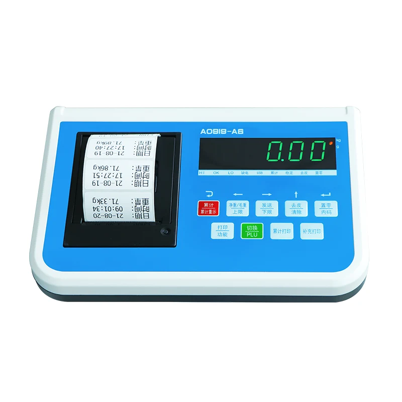 Electronic Weighing Printing Instrument